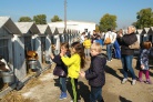 Pupils are visiting  a dairy farm of enterprise "Milkiland-Ukraine"