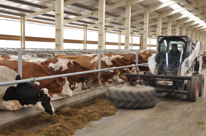 «Мілкіленд» в 2014 році має намір інвестувати в розвиток 9-10 млн. євро 