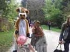  Dobryana organizes the Easter festivals