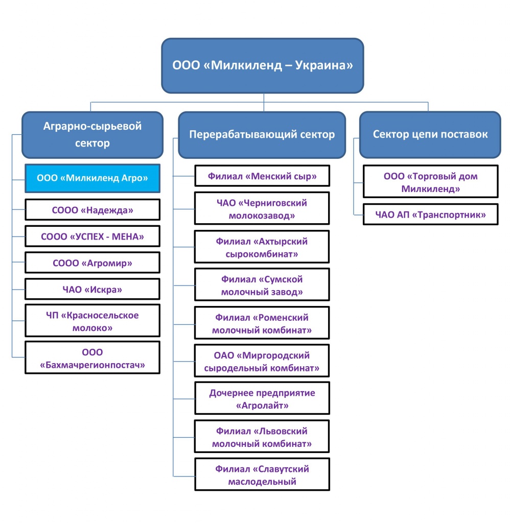 Структура ООО.jpg